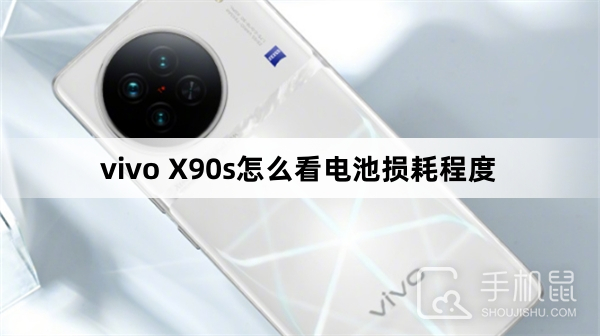 vivo X90s怎么看电池损耗程度