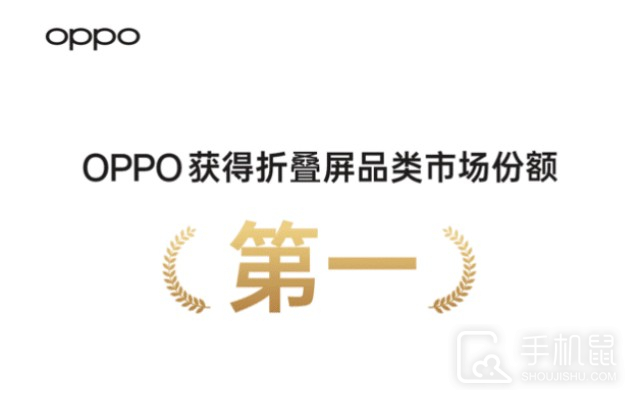 最受欢迎！OPPO Find N2系列斩获2022年中国折叠屏品类市场份额第一