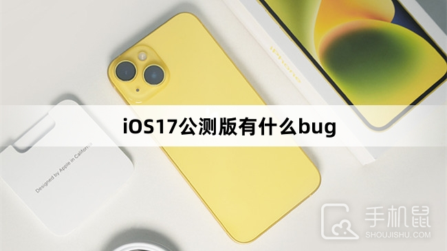 iOS17公测版有什么bug