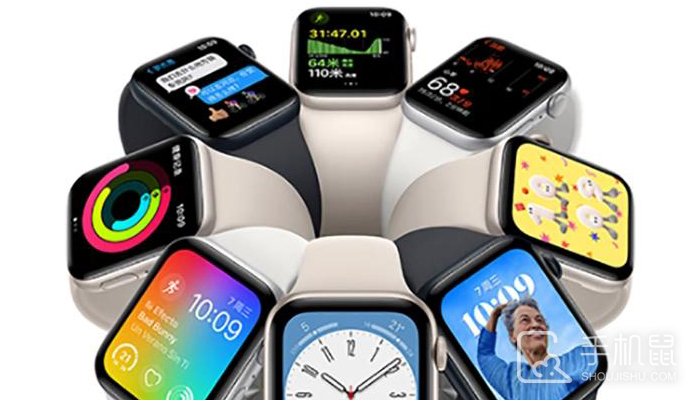 Apple Watch SE 2有没有实体按钮