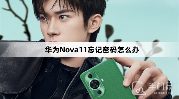 华为Nova11忘记密码怎么办