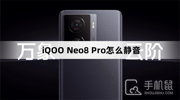 iQOO Neo8 Pro怎么静音