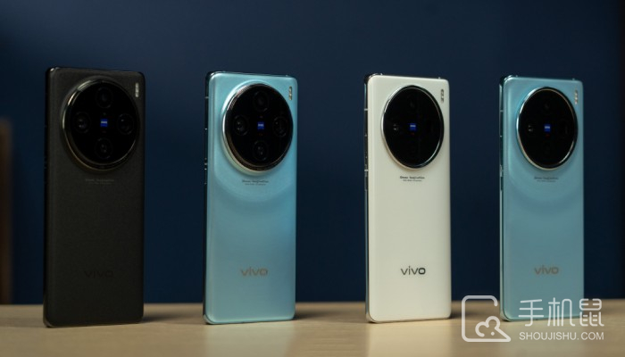 vivoX100有几个版本